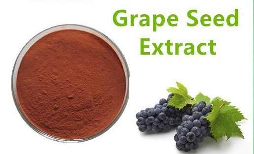 china grape seed extract powder.png